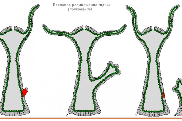 Кракен сайт биз