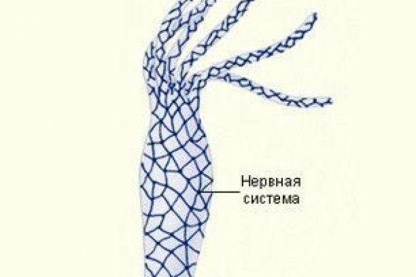 Русские ссылки тор браузера kraken