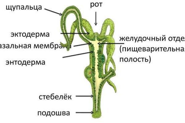 Кракен официальный