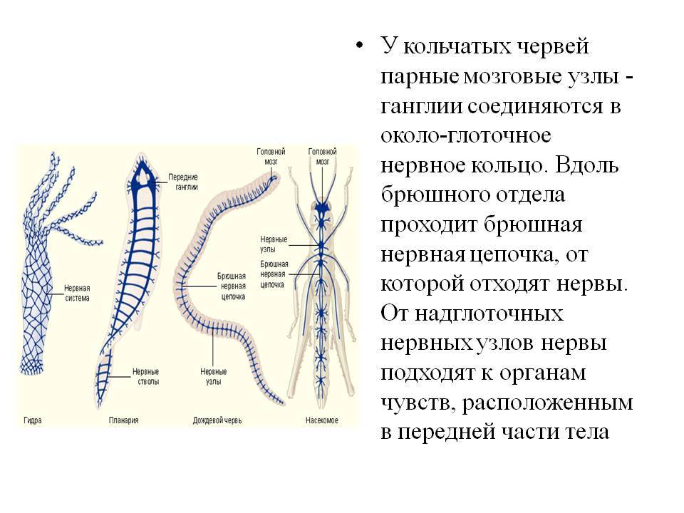 Кракен даркнет рабочая